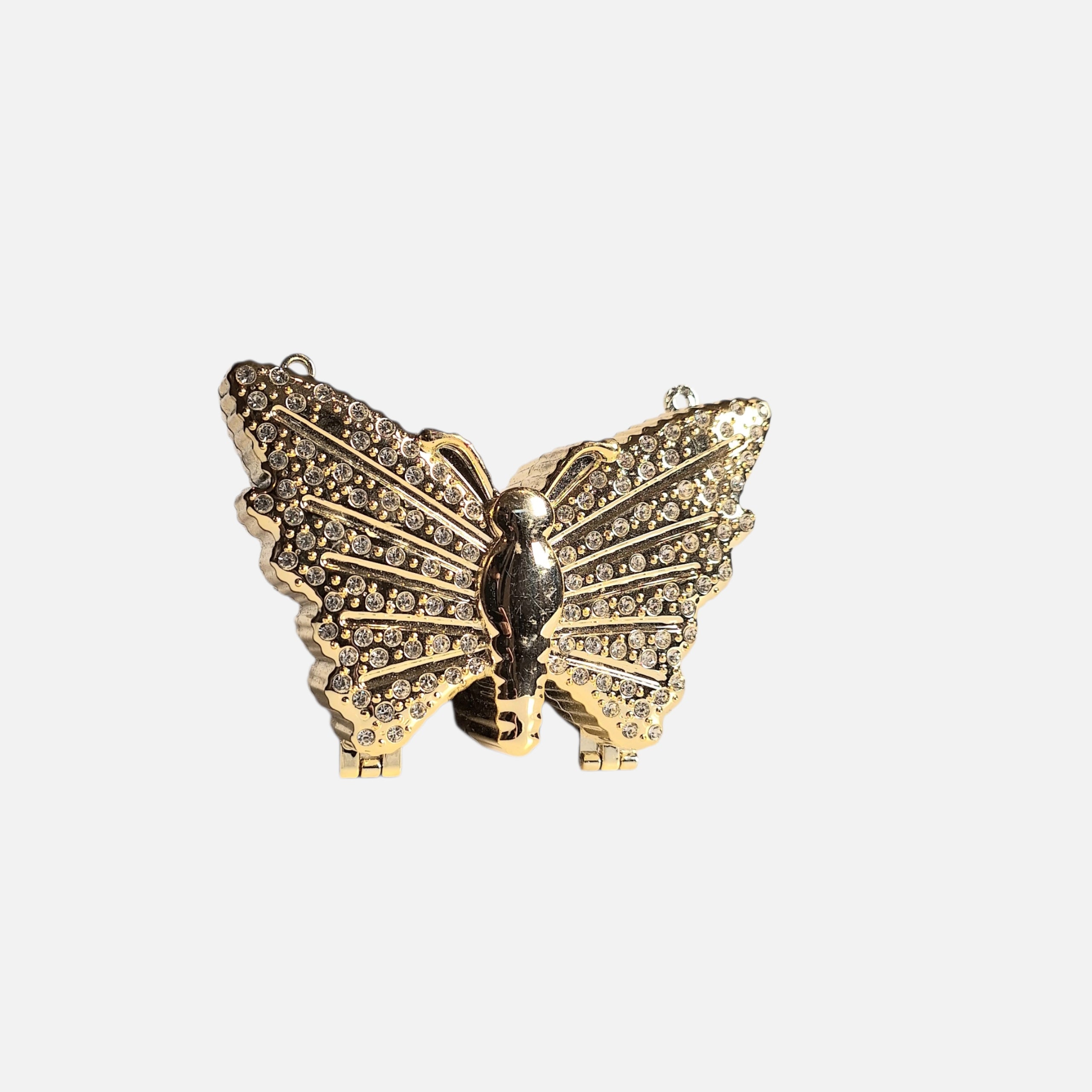 The Acrylic Butterfly